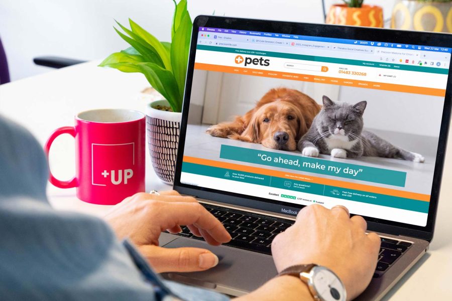 Person looking at Pluspets ecommerce website on a laptop